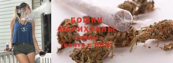 индика Надым