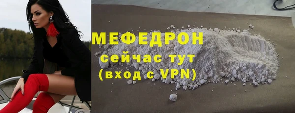 индика Надым