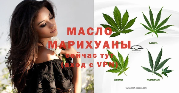 индика Надым