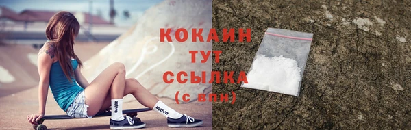 мяу мяу мука Михайловск
