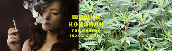мяу мяу мука Михайловск